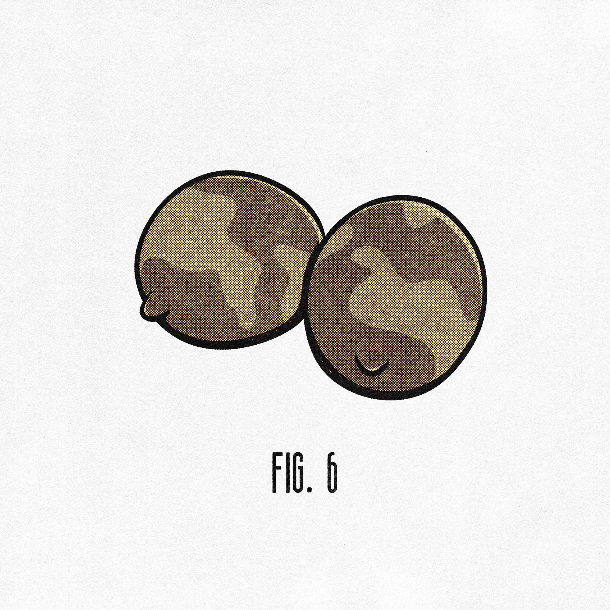 Illustration of two limes gone brown and wrinkled captioned 'fig. 6.'